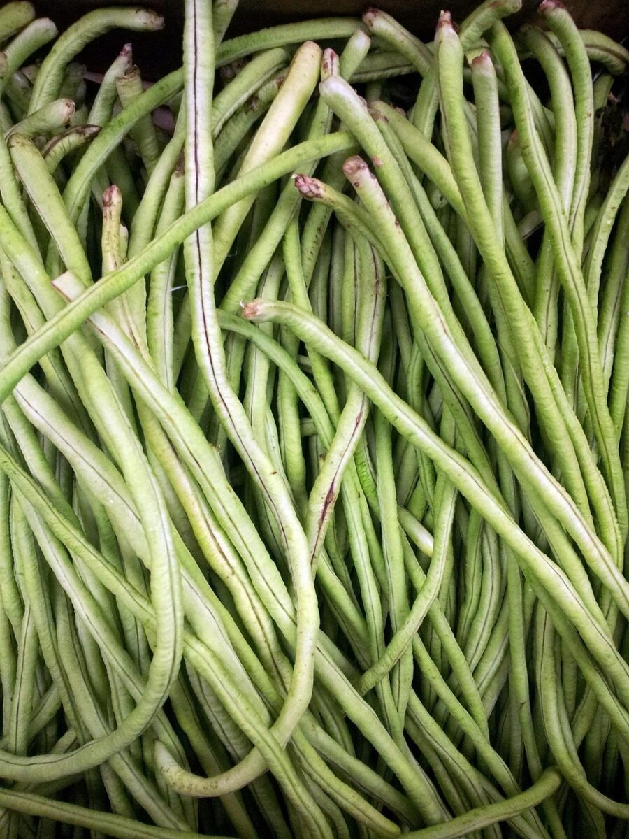 french bean basket, green bean, long bean, food, plant, fresh, natural, organic, healthy, ingredient, vegetarian, agriculture, raw, nutritious, cooking, freshness, vegetable, health, nature, green health, green cooking, green bean, long bean, long bean, long bean, long bean, long bean